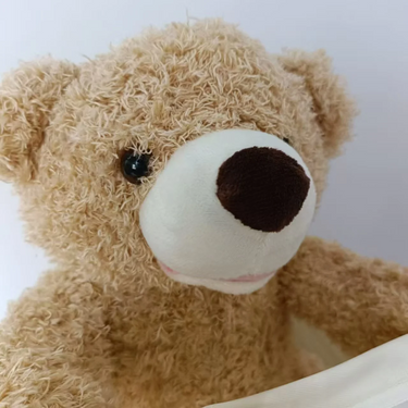 PeekABear | Magisch plezier voor elk kind - Interactieve knuffelbeer